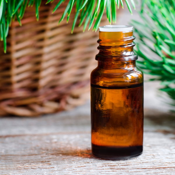 TEA TREE - Essential Oil Online now